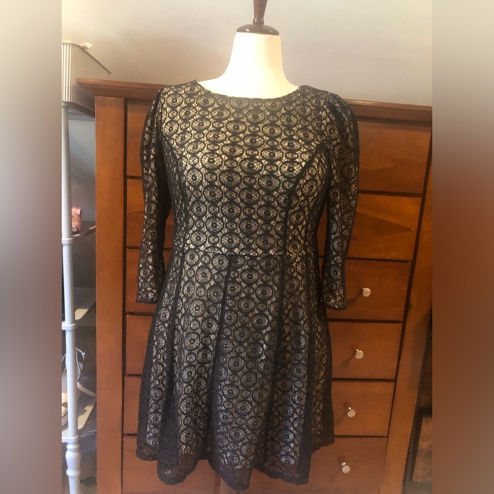 Arden B Black Lace Fit-and-Flare Dress with Cream Underlay